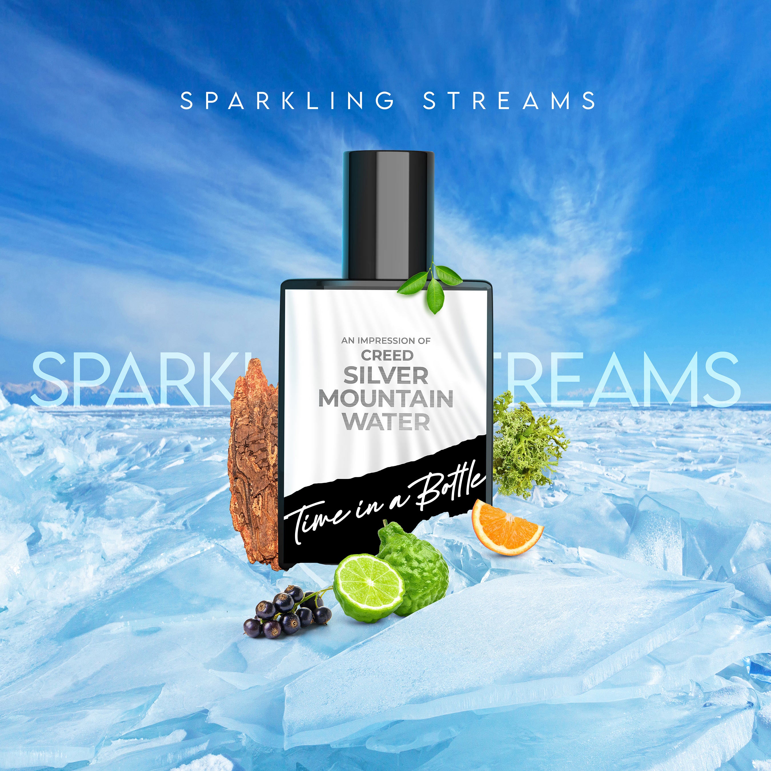 SILVER MOUNTAIN WATER by CREED